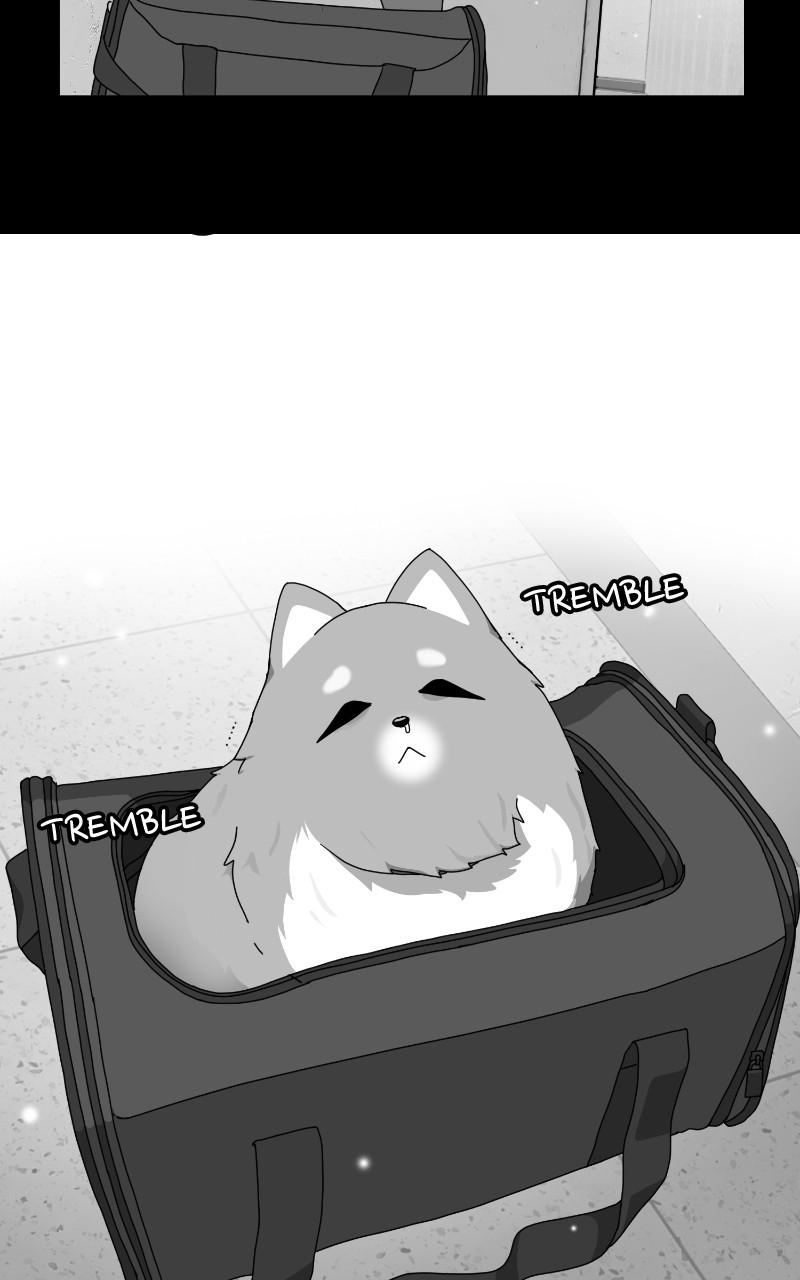 The Dog Diaries Chap 63 - Next Chap 64