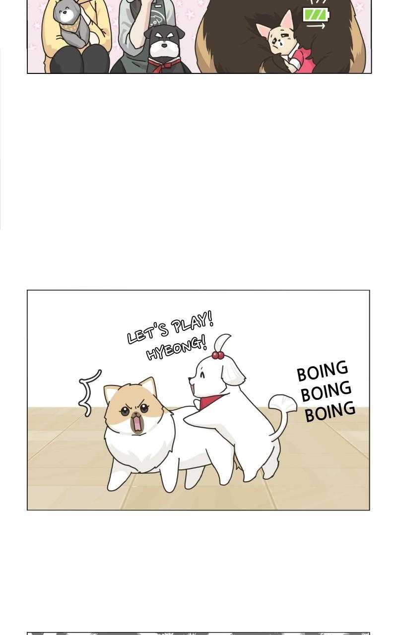 The Dog Diaries Chap 75 - Next Chap 76