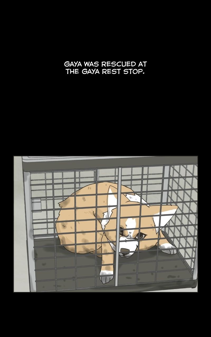 The Dog Diaries Chap 75 - Next Chap 76