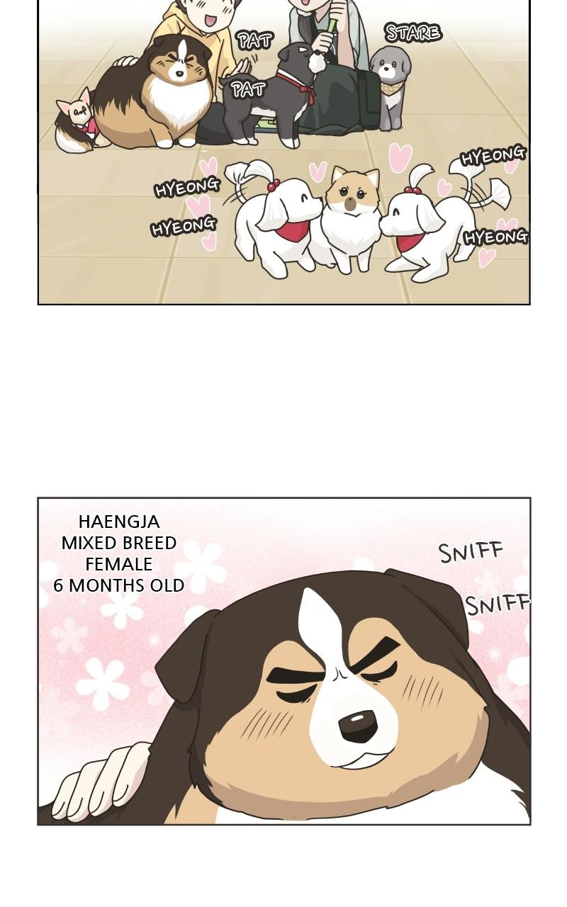 The Dog Diaries Chap 75 - Next Chap 76