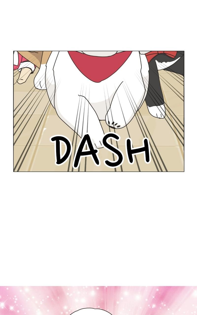The Dog Diaries Chap 75 - Next Chap 76