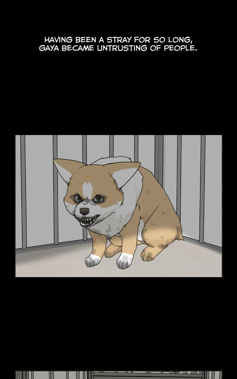 The Dog Diaries Chap 75 - Next Chap 76
