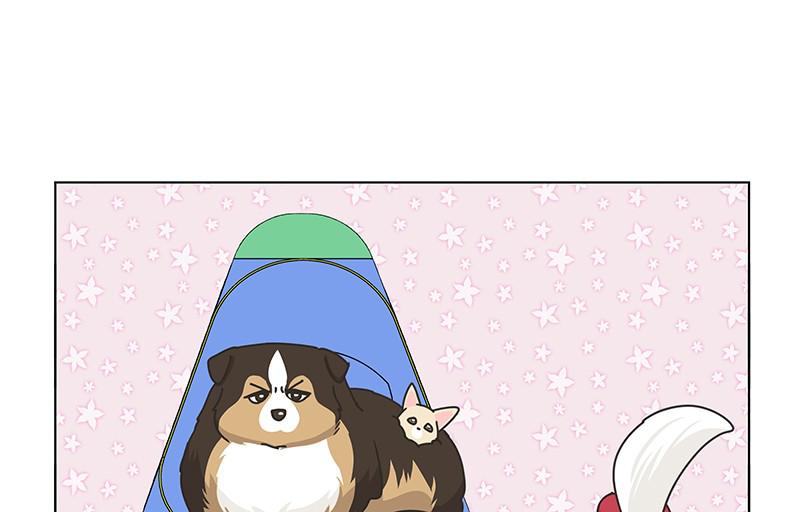 The Dog Diaries Chap 75 - Next Chap 76