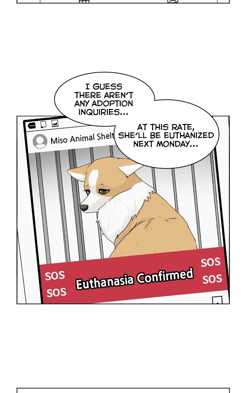 The Dog Diaries Chap 75 - Next Chap 76