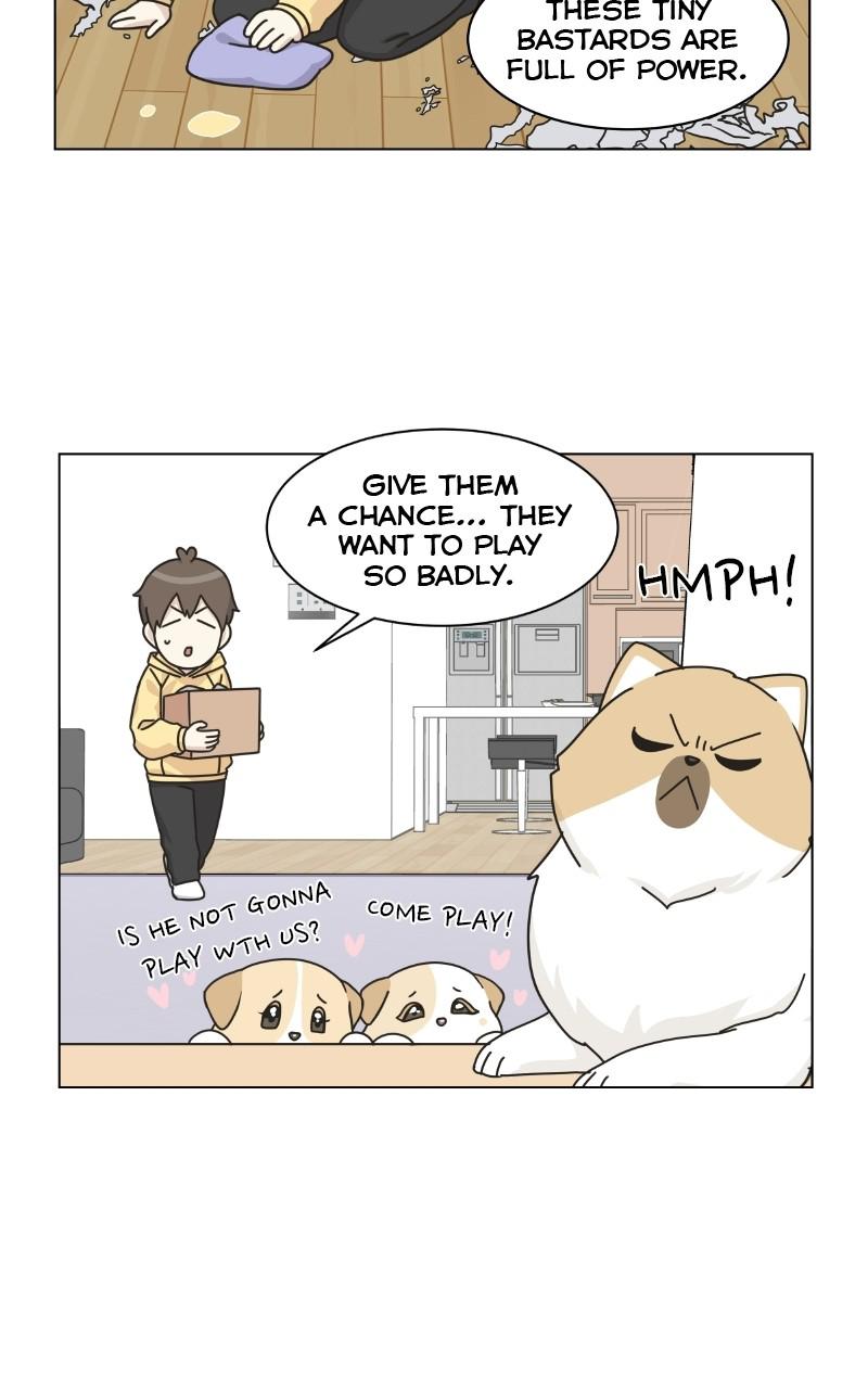 The Dog Diaries Chap 72 - Next Chap 73