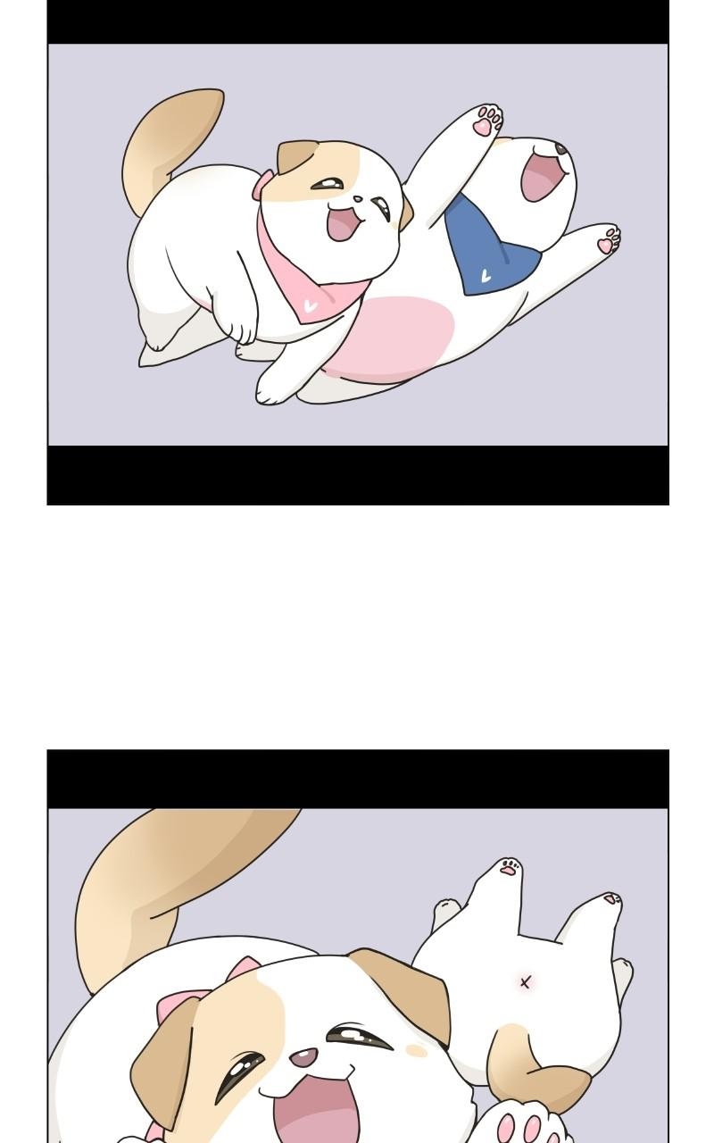 The Dog Diaries Chap 72 - Next Chap 73