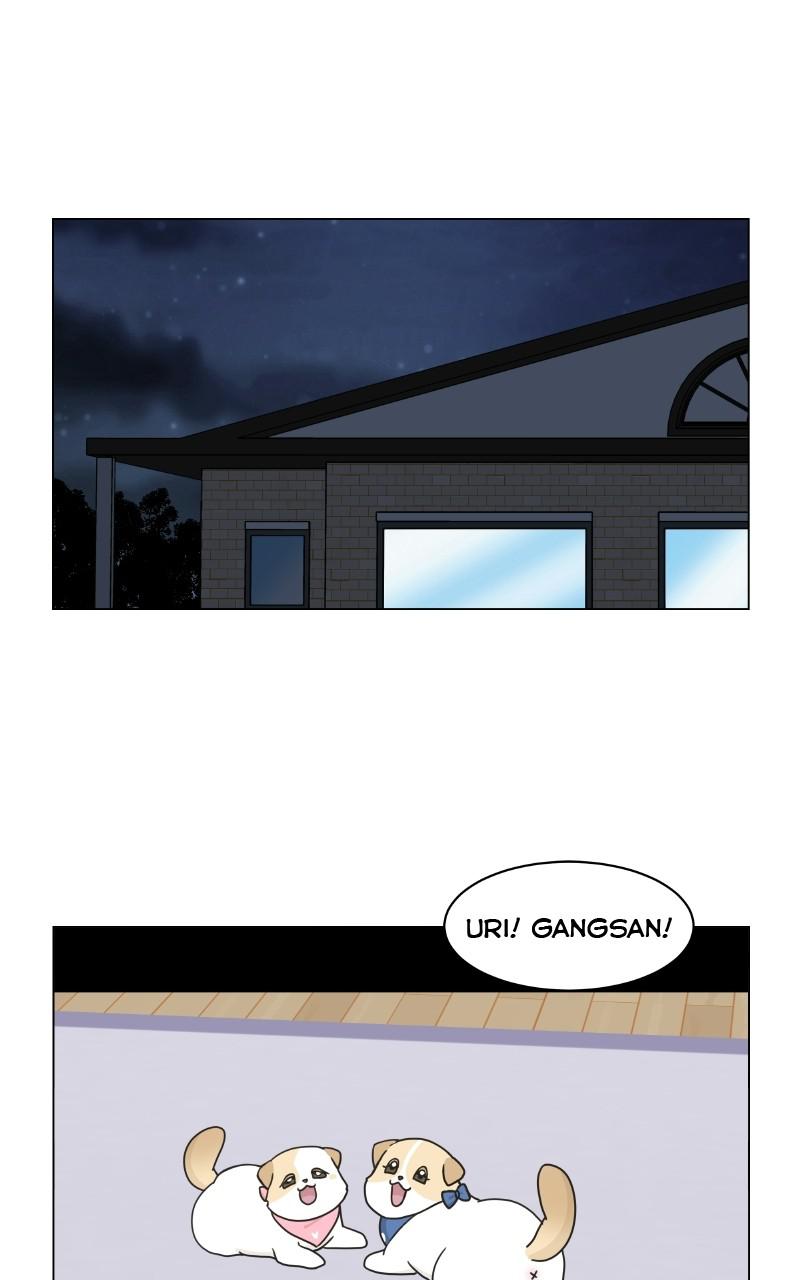 The Dog Diaries Chap 72 - Next Chap 73