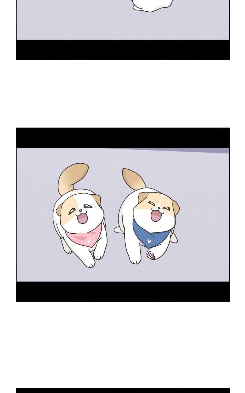 The Dog Diaries Chap 72 - Next Chap 73