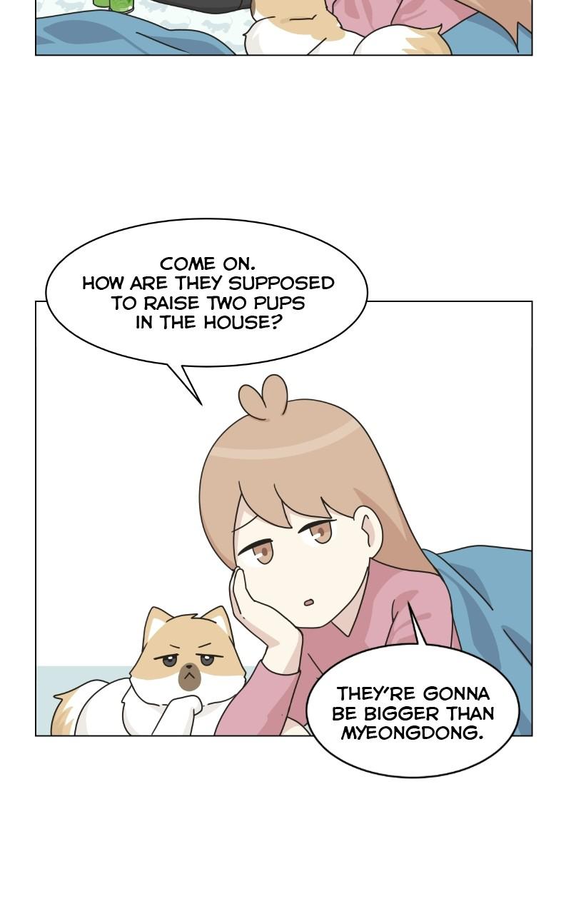 The Dog Diaries Chap 72 - Next Chap 73