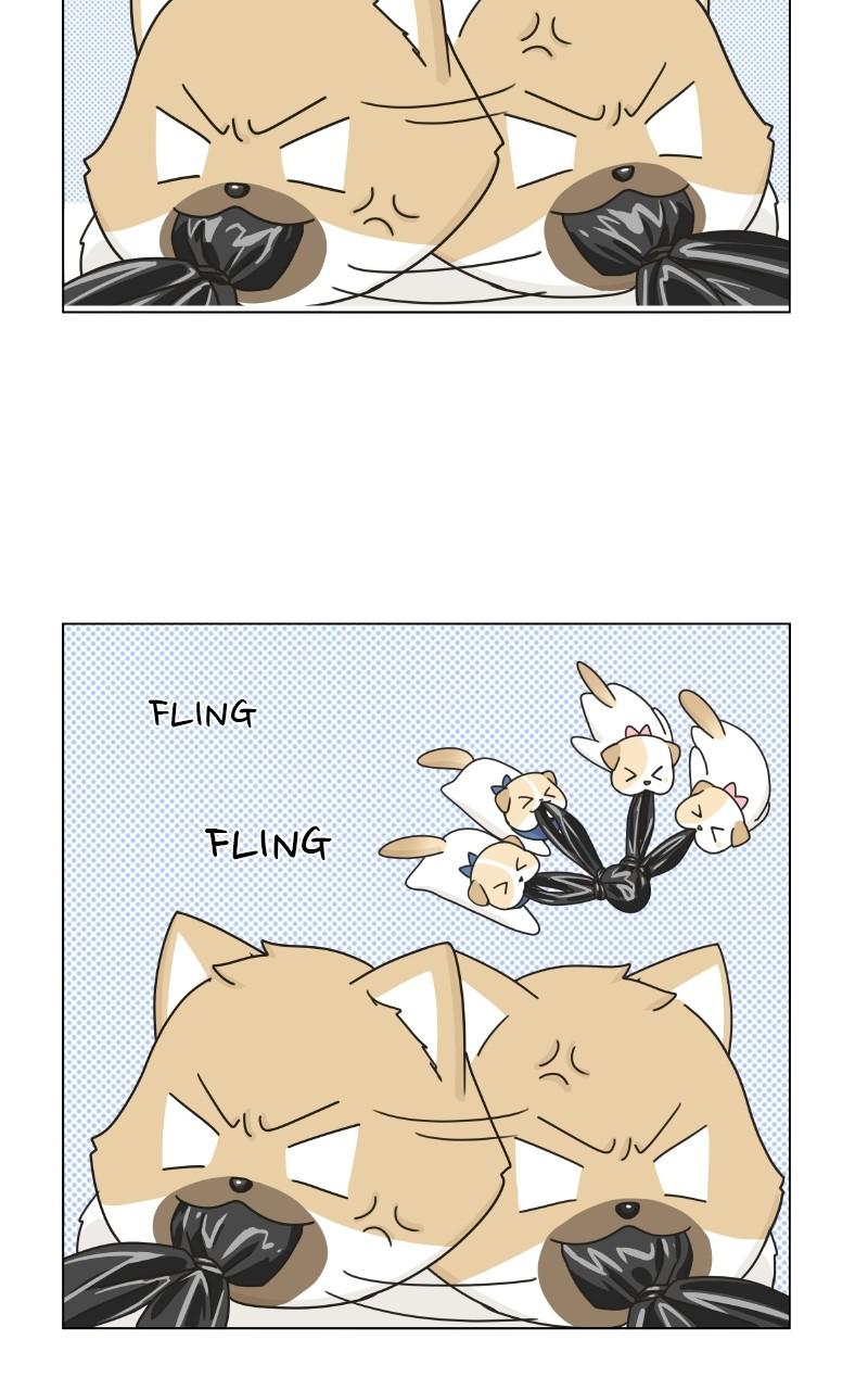 The Dog Diaries Chap 72 - Next Chap 73