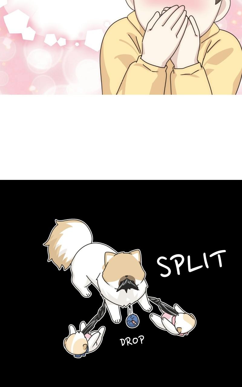 The Dog Diaries Chap 72 - Next Chap 73
