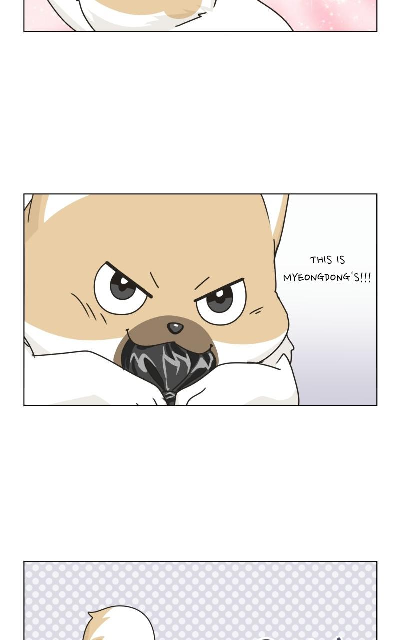 The Dog Diaries Chap 72 - Next Chap 73