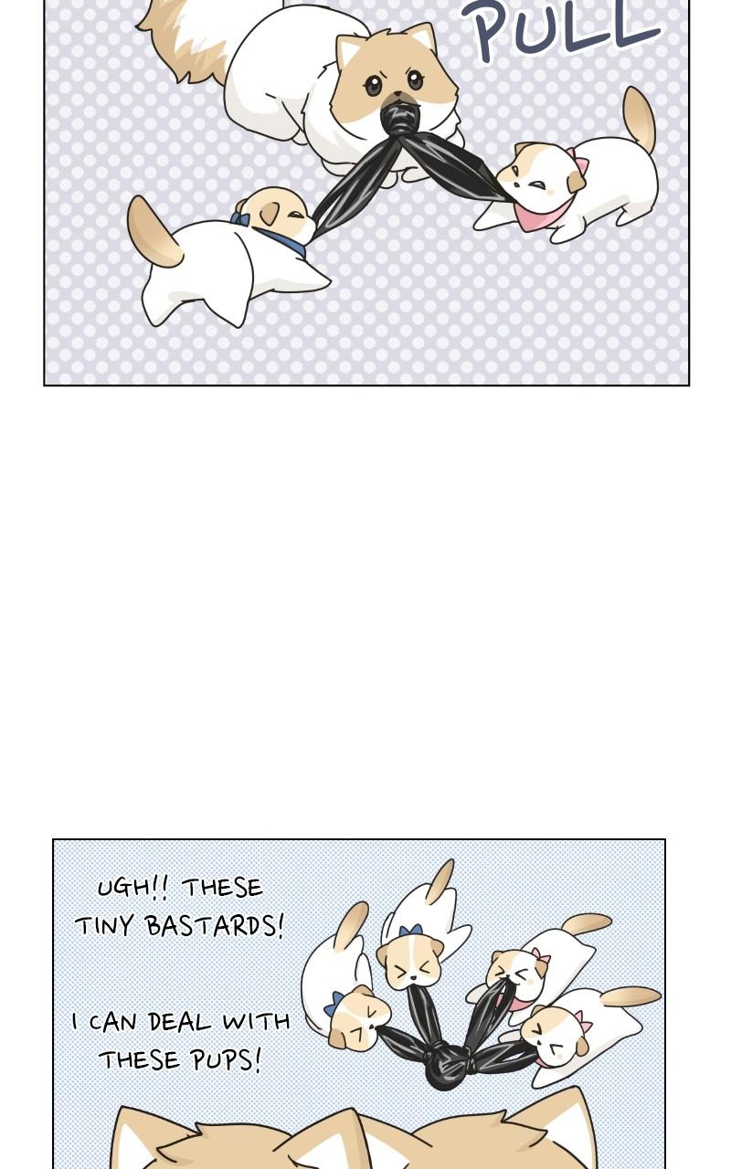 The Dog Diaries Chap 72 - Next Chap 73
