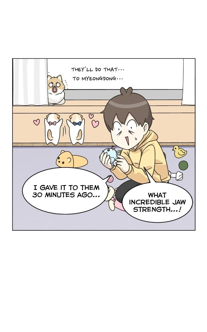 The Dog Diaries Chap 72 - Next Chap 73