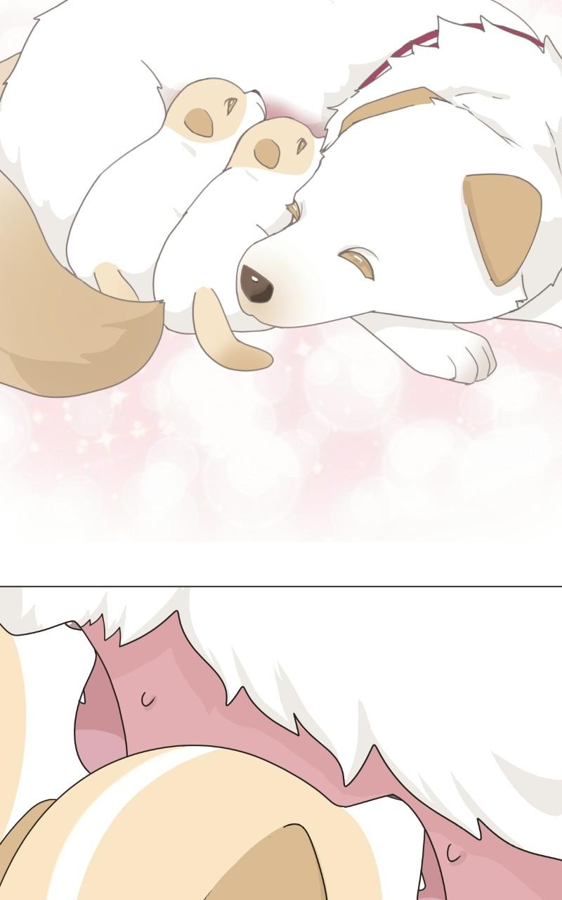 The Dog Diaries Chap 72 - Next Chap 73