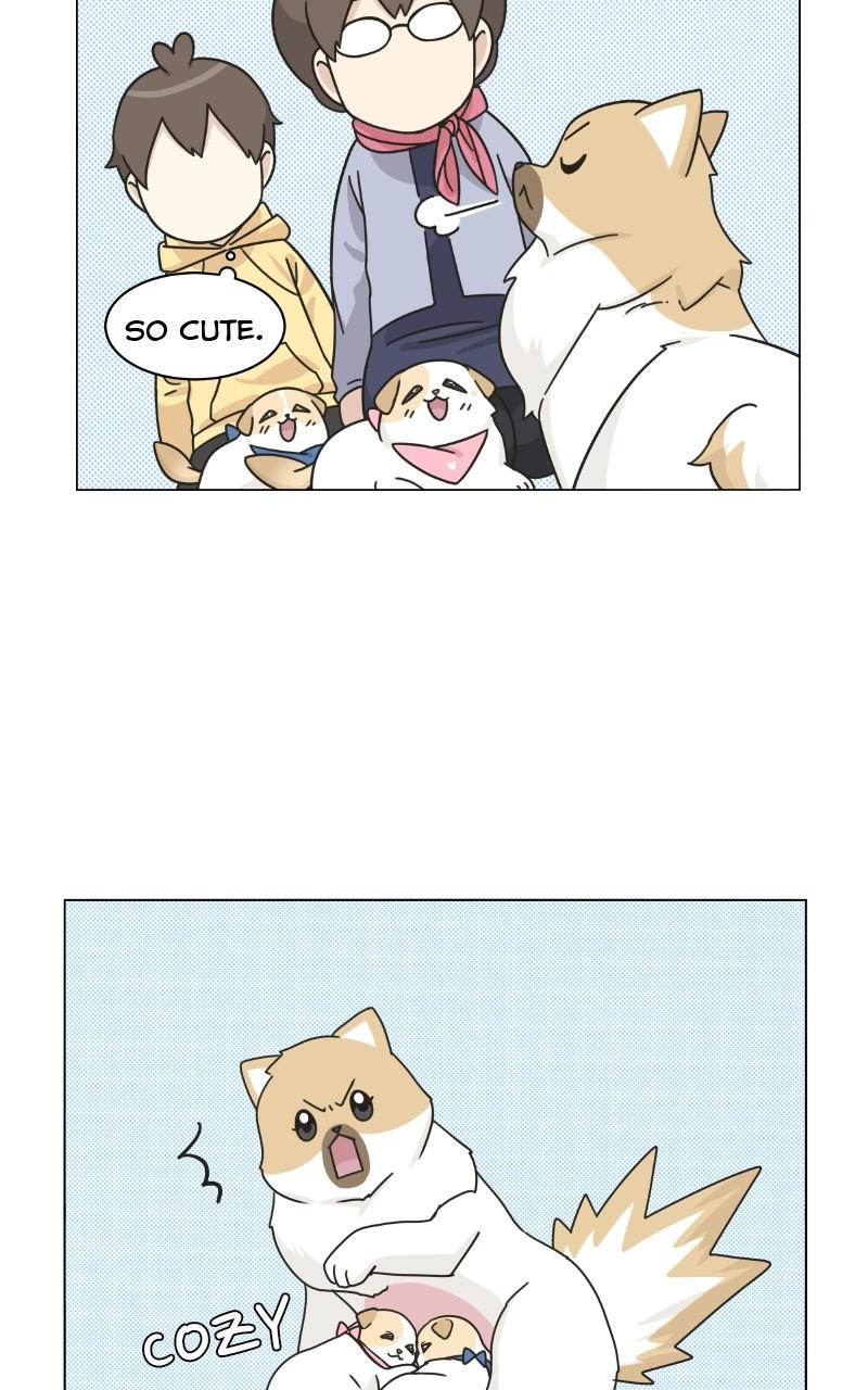 The Dog Diaries Chap 72 - Next Chap 73