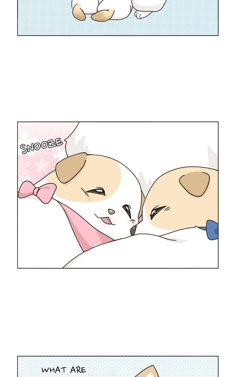 The Dog Diaries Chap 72 - Next Chap 73