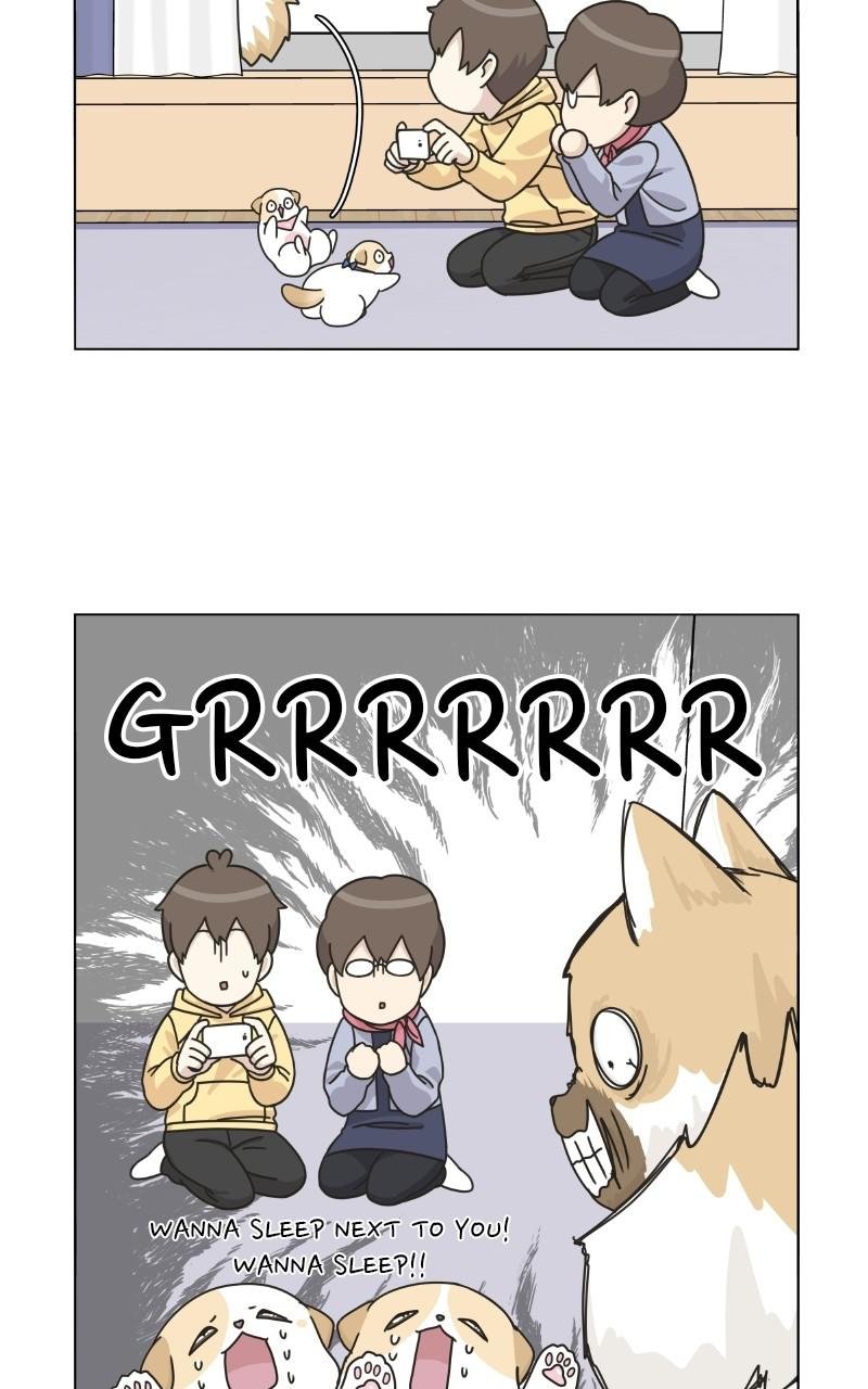 The Dog Diaries Chap 72 - Next Chap 73