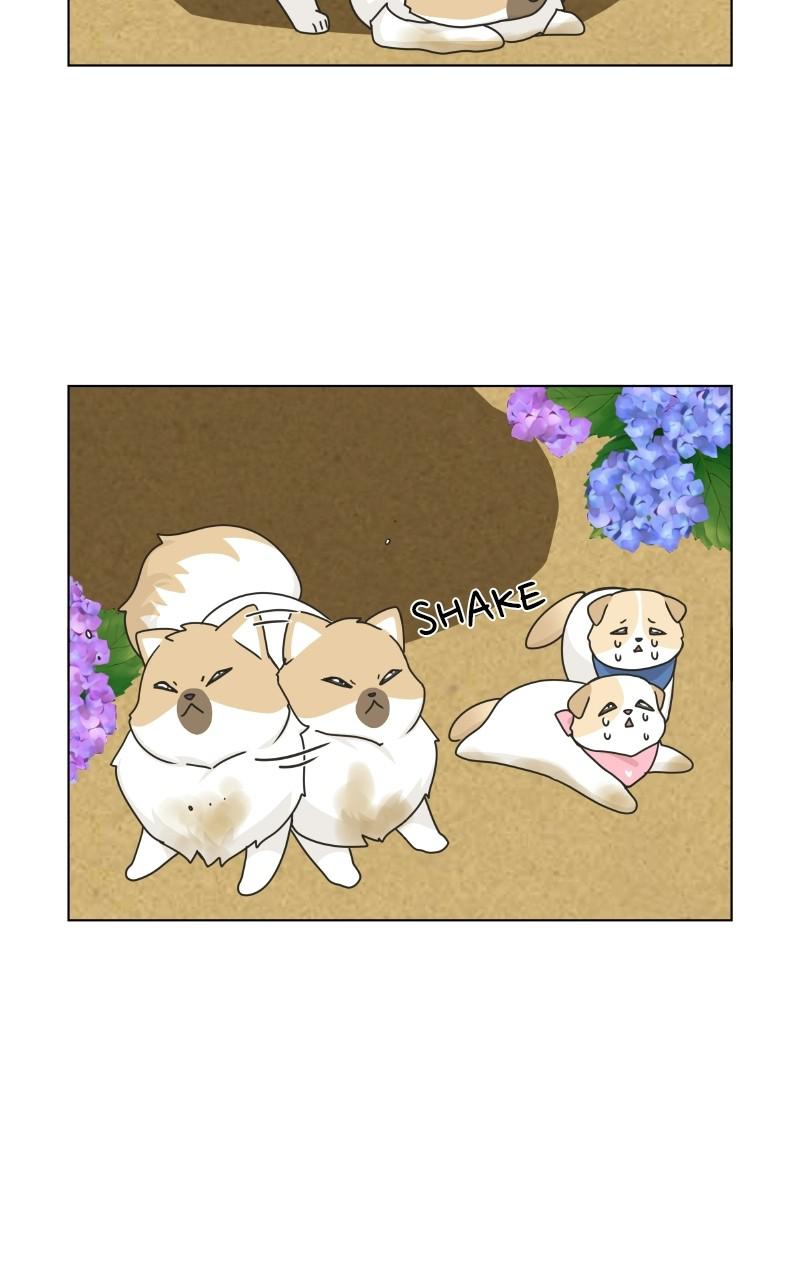 The Dog Diaries Chap 73 - Next Chap 74