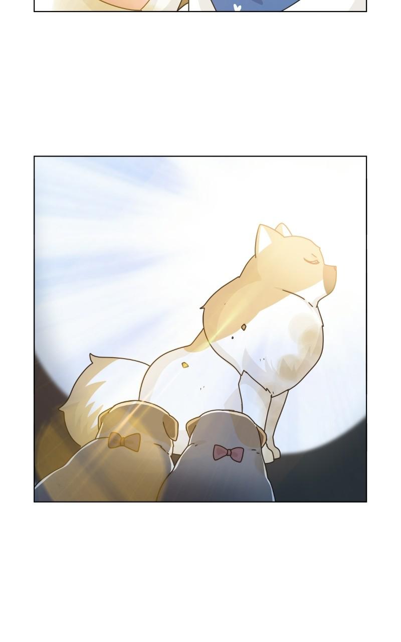 The Dog Diaries Chap 73 - Next Chap 74