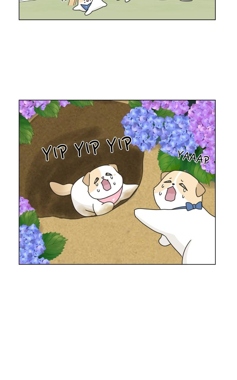 The Dog Diaries Chap 73 - Next Chap 74