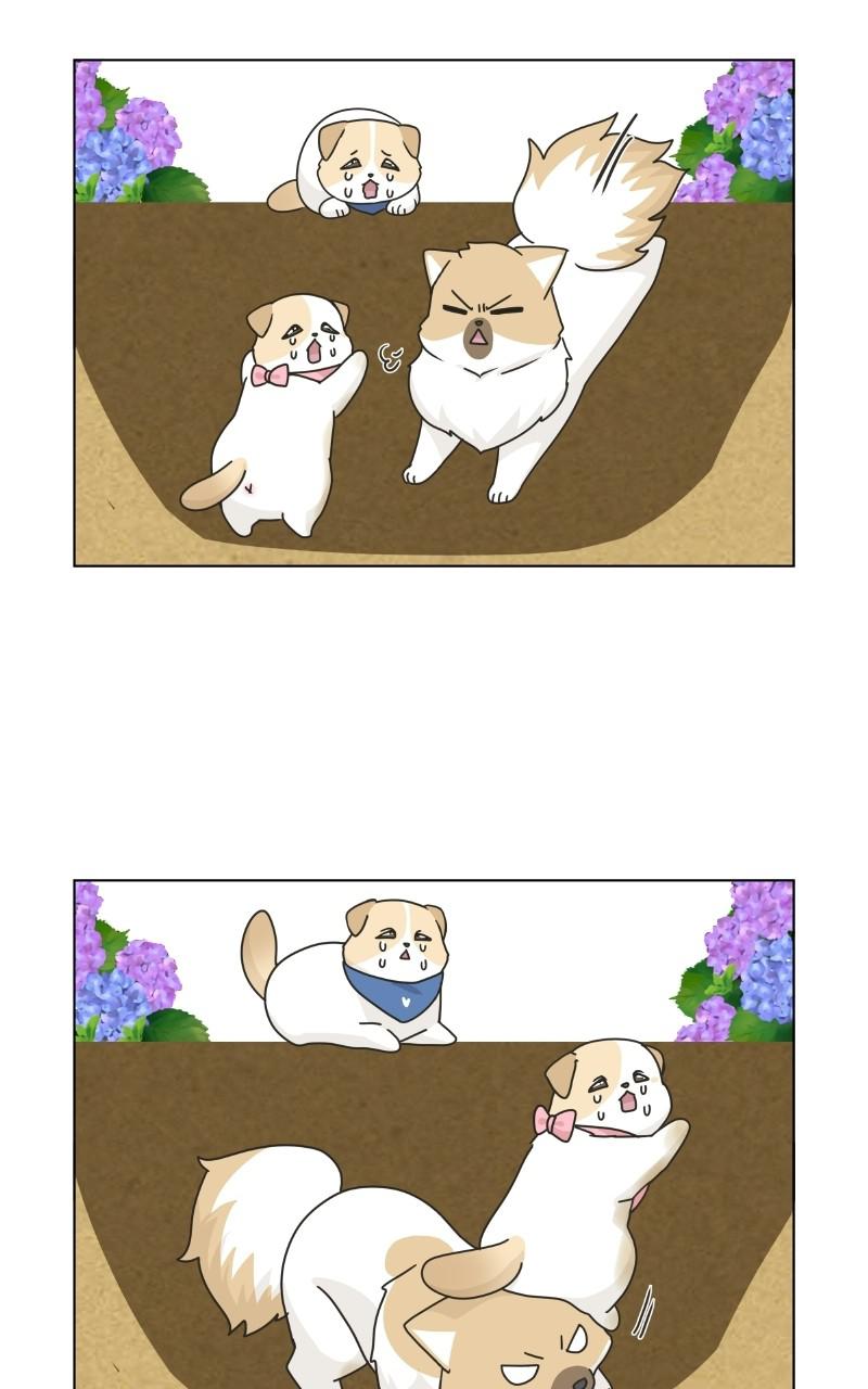 The Dog Diaries Chap 73 - Next Chap 74