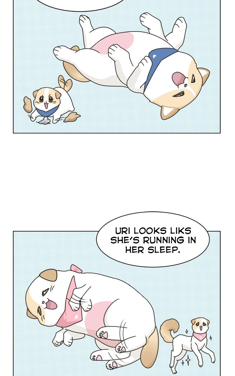 The Dog Diaries Chap 73 - Next Chap 74