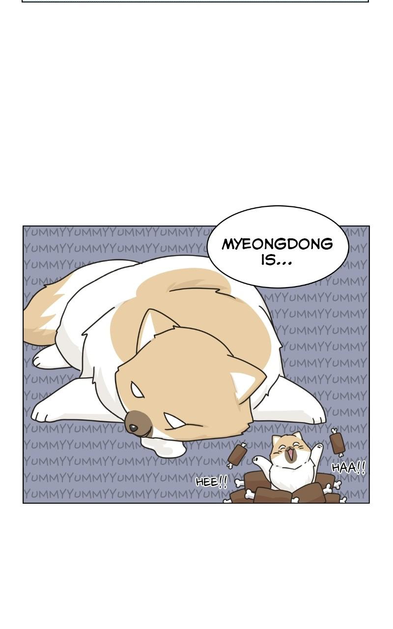 The Dog Diaries Chap 73 - Next Chap 74
