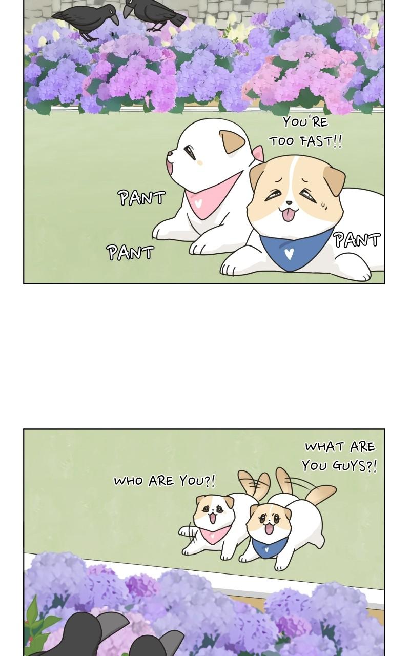 The Dog Diaries Chap 73 - Next Chap 74