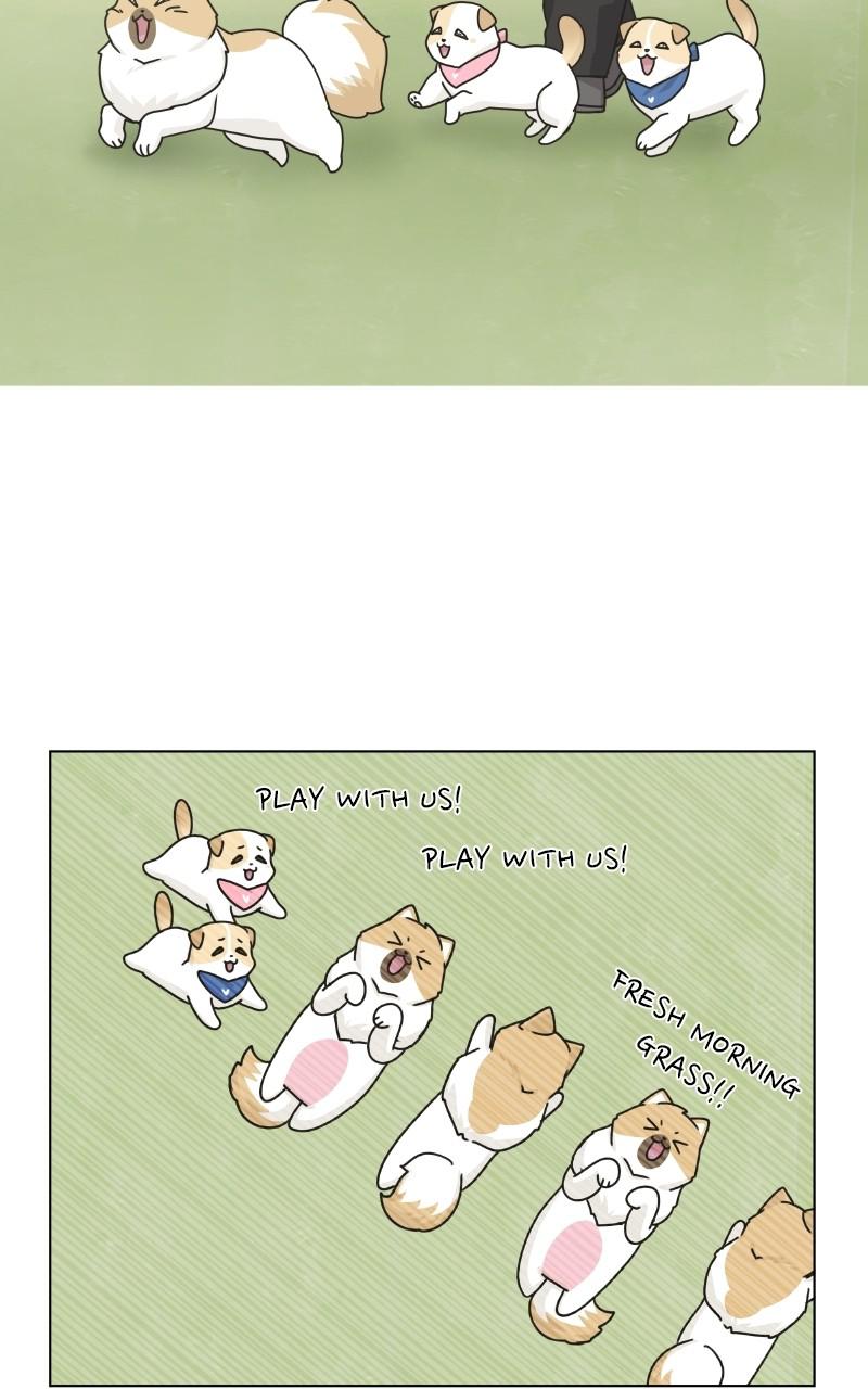 The Dog Diaries Chap 73 - Next Chap 74