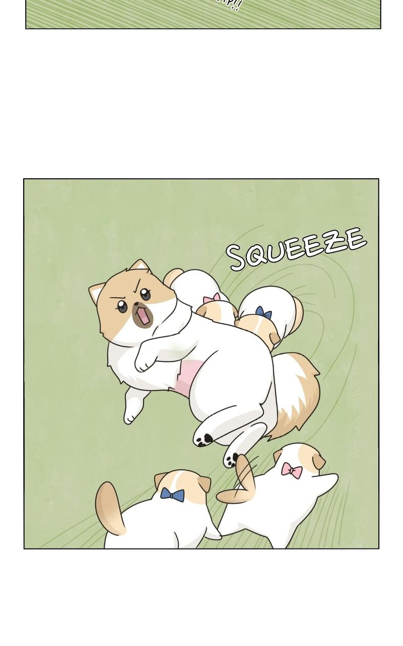 The Dog Diaries Chap 73 - Next Chap 74
