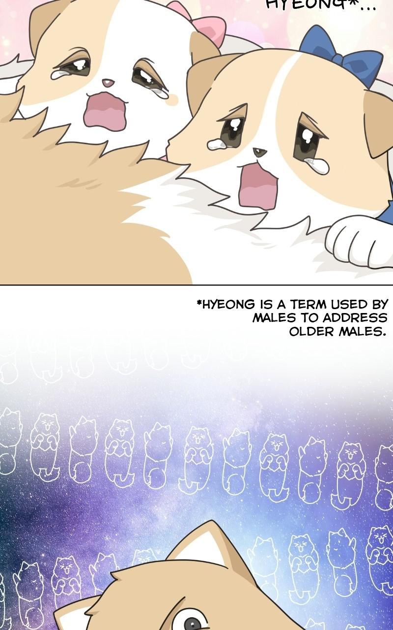 The Dog Diaries Chap 73 - Next Chap 74