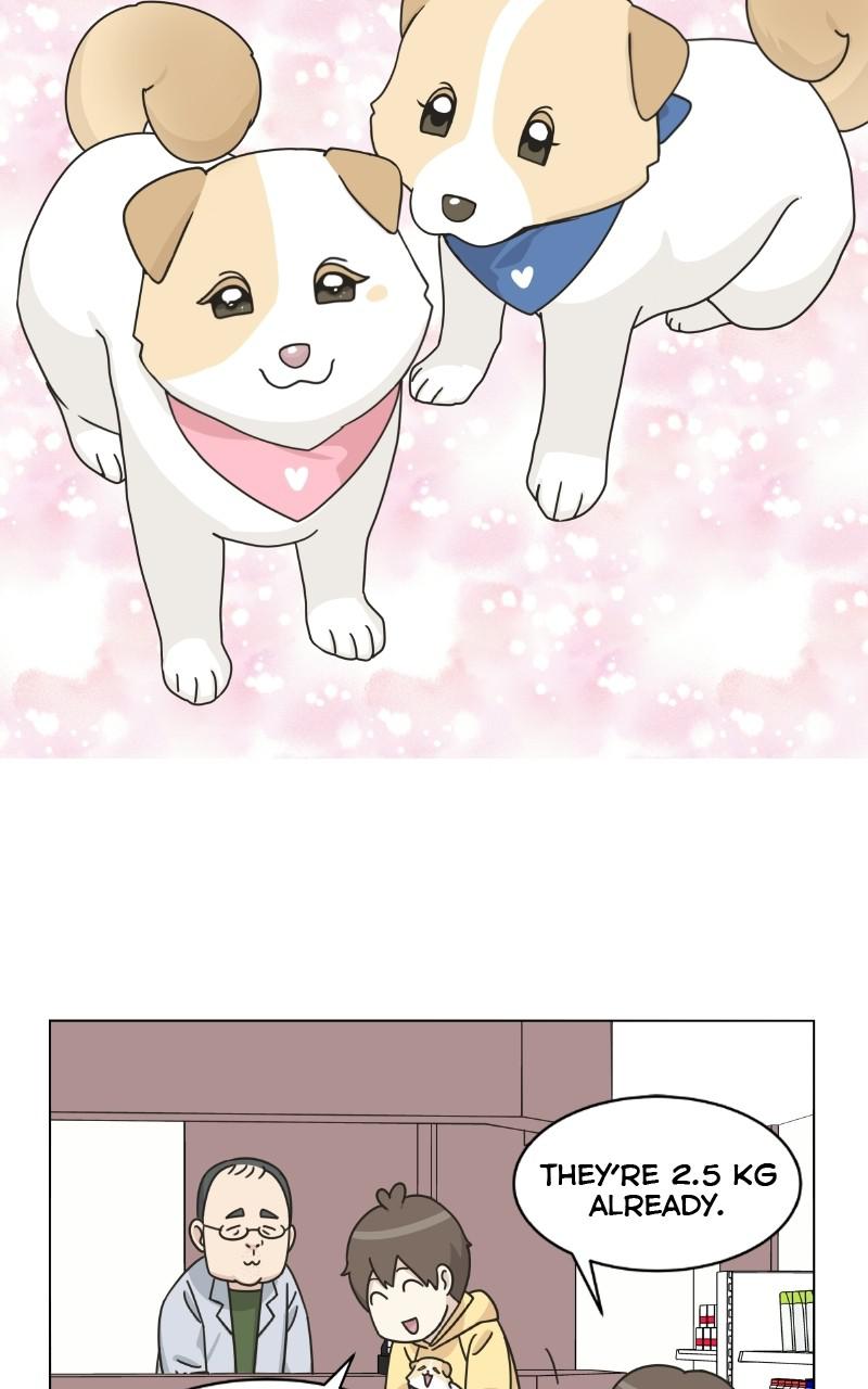 The Dog Diaries Chap 73 - Next Chap 74