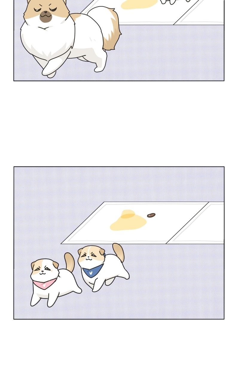 The Dog Diaries Chap 73 - Next Chap 74