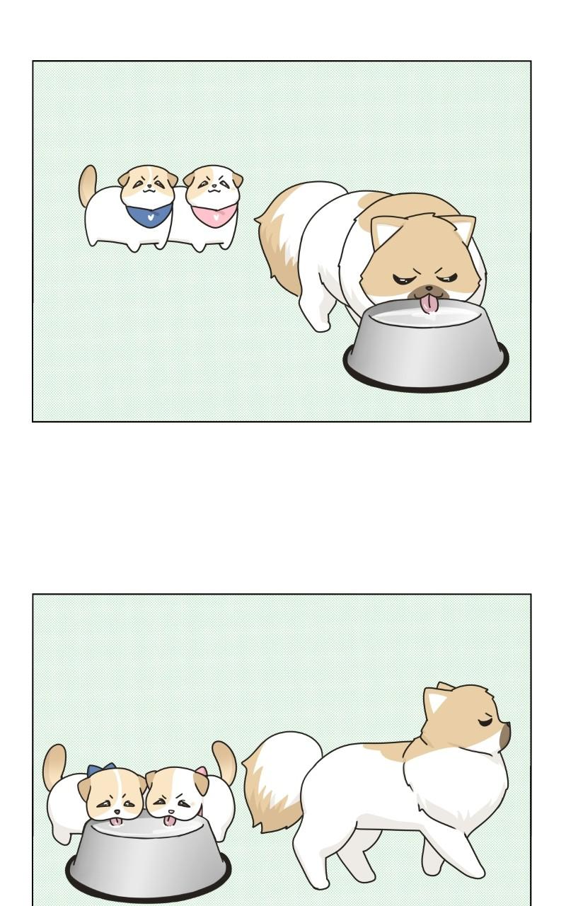 The Dog Diaries Chap 73 - Next Chap 74