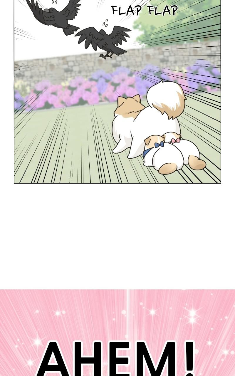 The Dog Diaries Chap 73 - Next Chap 74