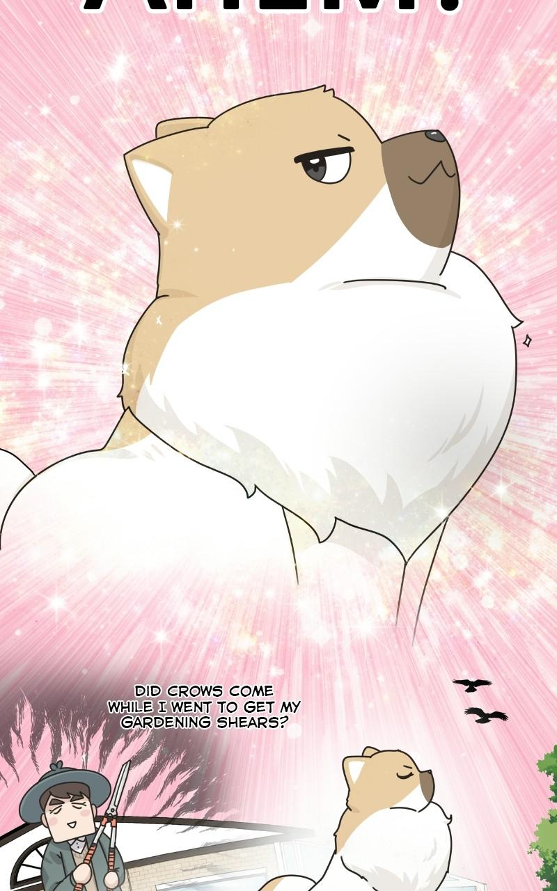 The Dog Diaries Chap 73 - Next Chap 74