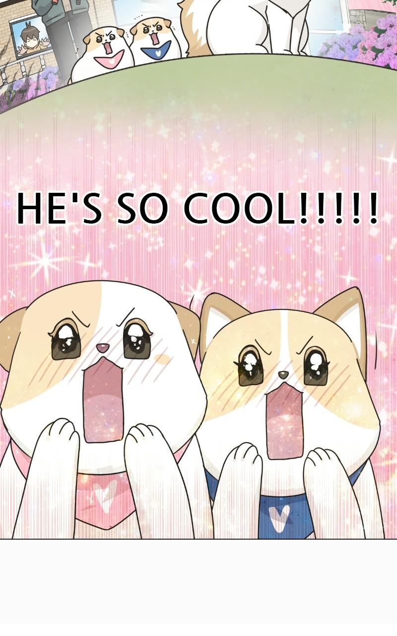 The Dog Diaries Chap 73 - Next Chap 74