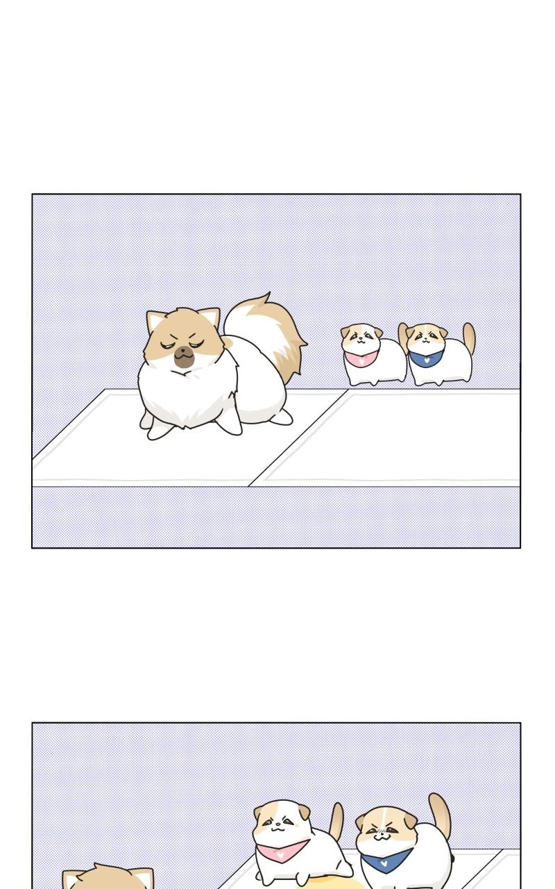 The Dog Diaries Chap 73 - Next Chap 74
