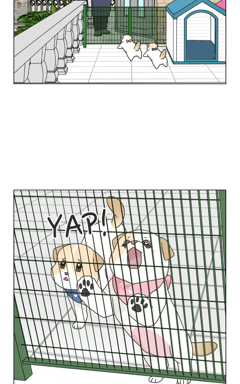 The Dog Diaries Chap 74 - Next Chap 75