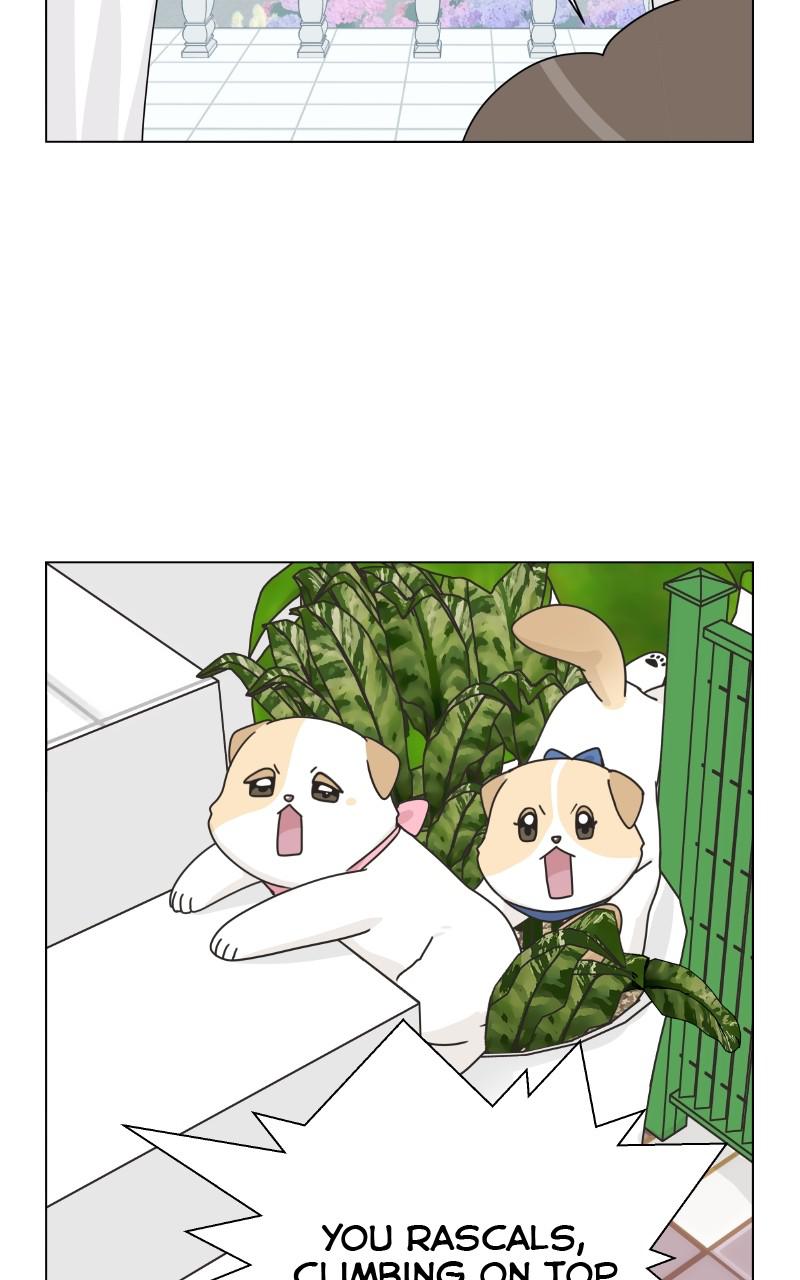 The Dog Diaries Chap 74 - Next Chap 75