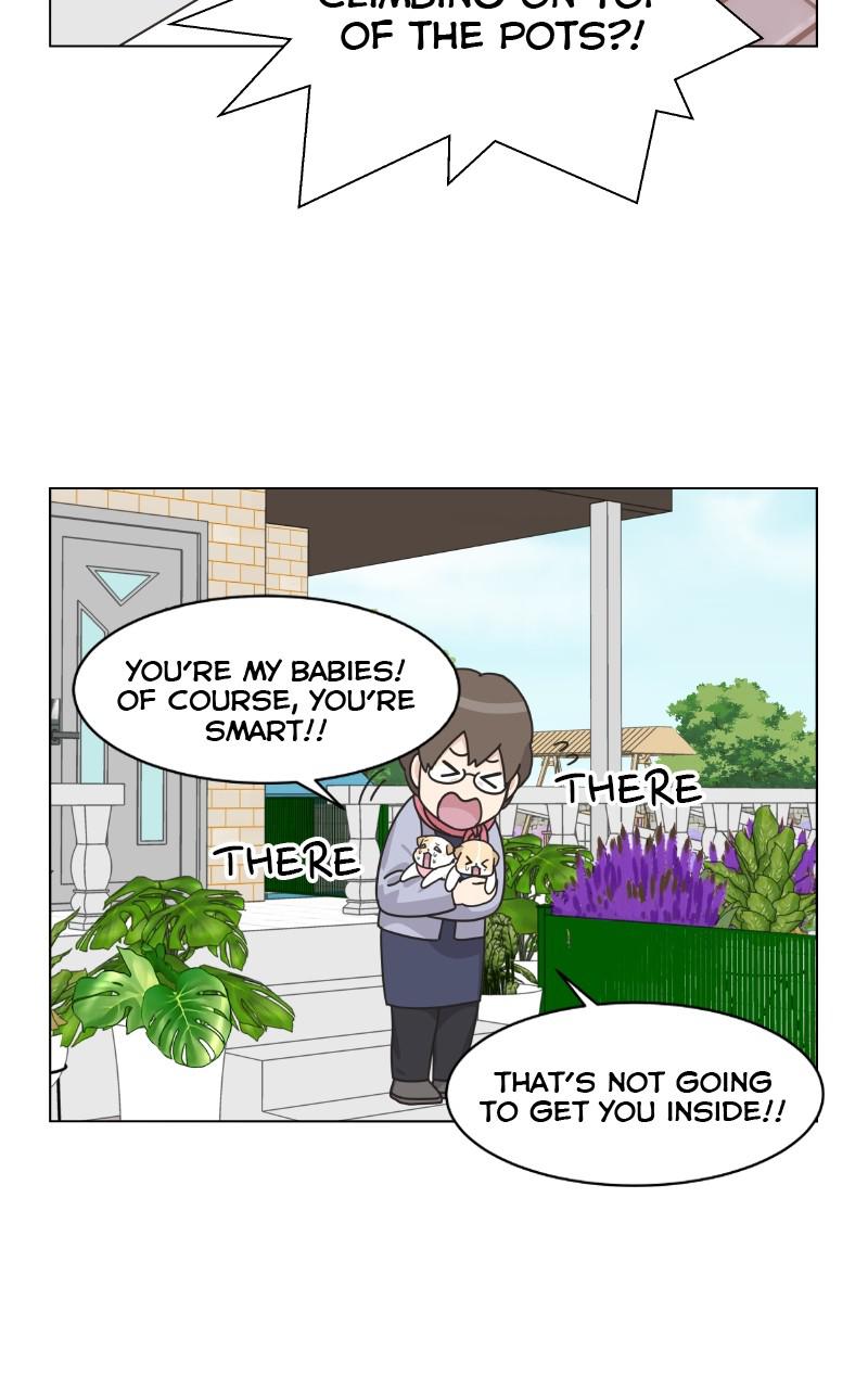The Dog Diaries Chap 74 - Next Chap 75