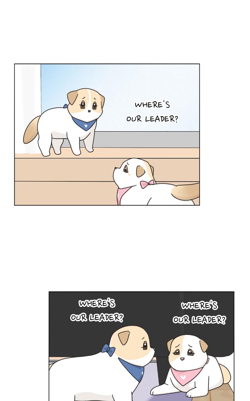 The Dog Diaries Chap 74 - Next Chap 75