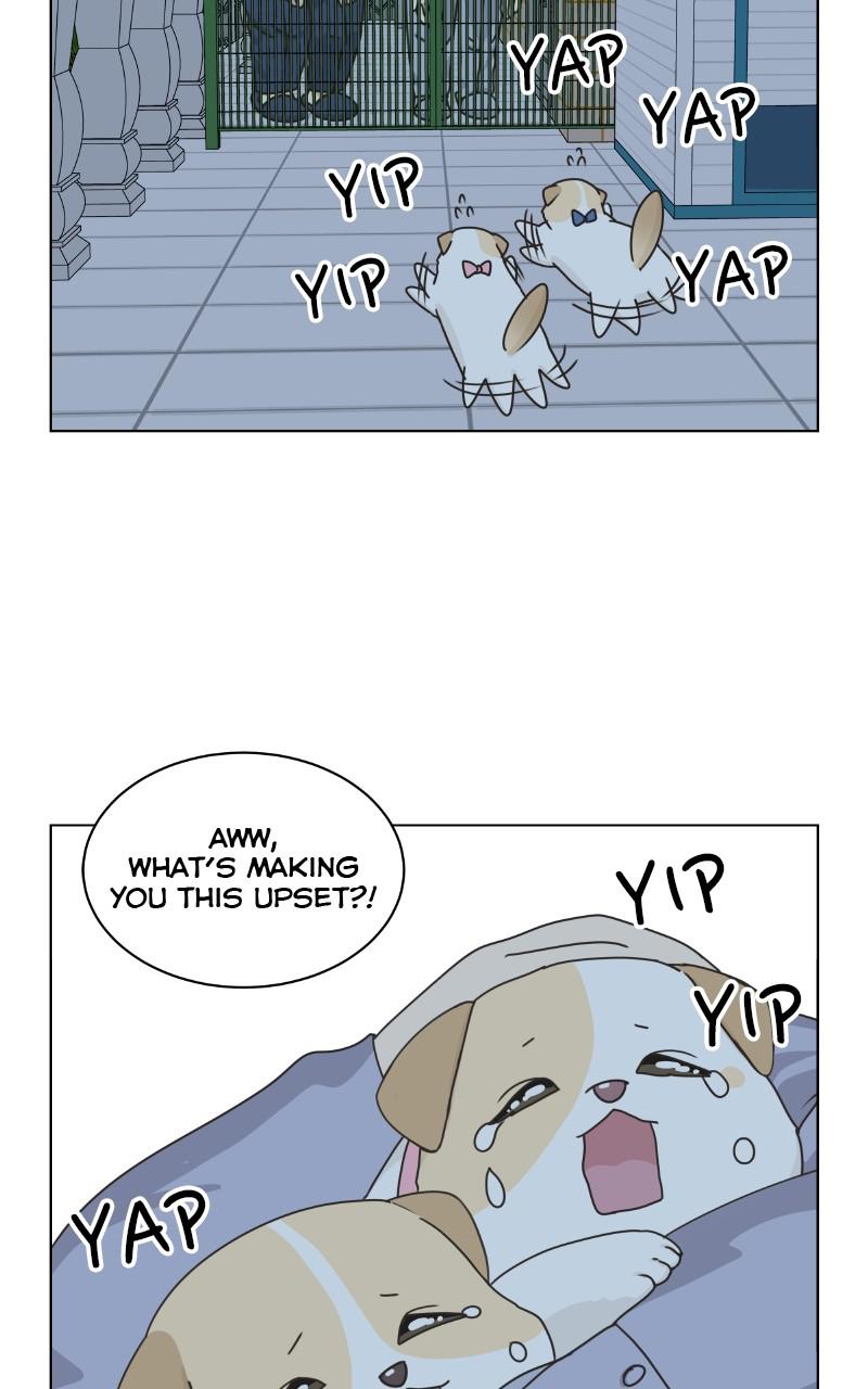 The Dog Diaries Chap 74 - Next Chap 75