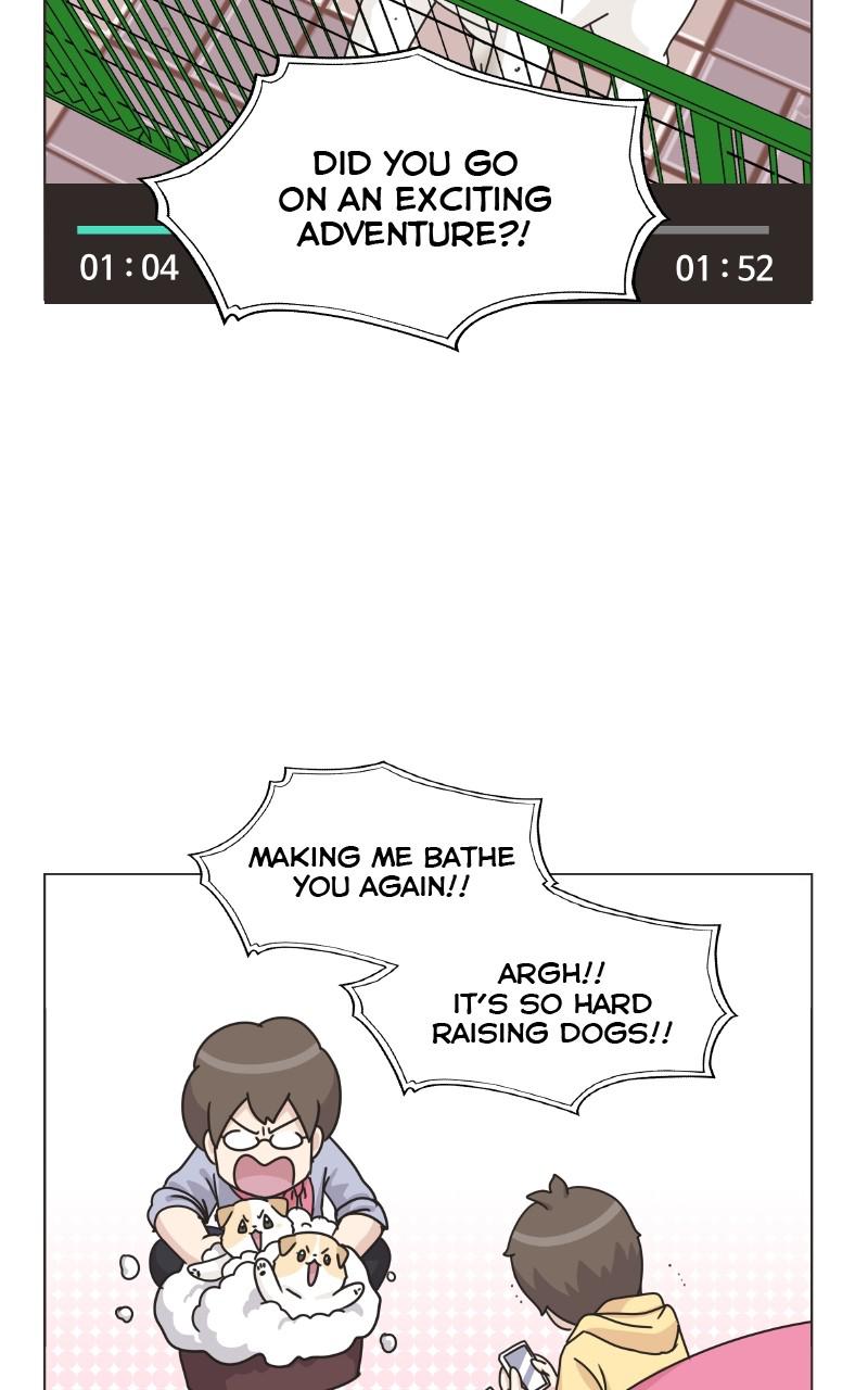 The Dog Diaries Chap 74 - Next Chap 75