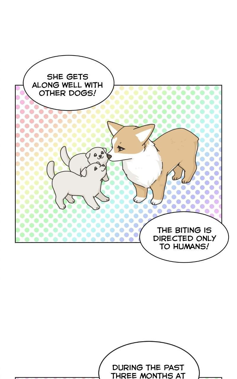 The Dog Diaries Chap 76 - Next Chap 77
