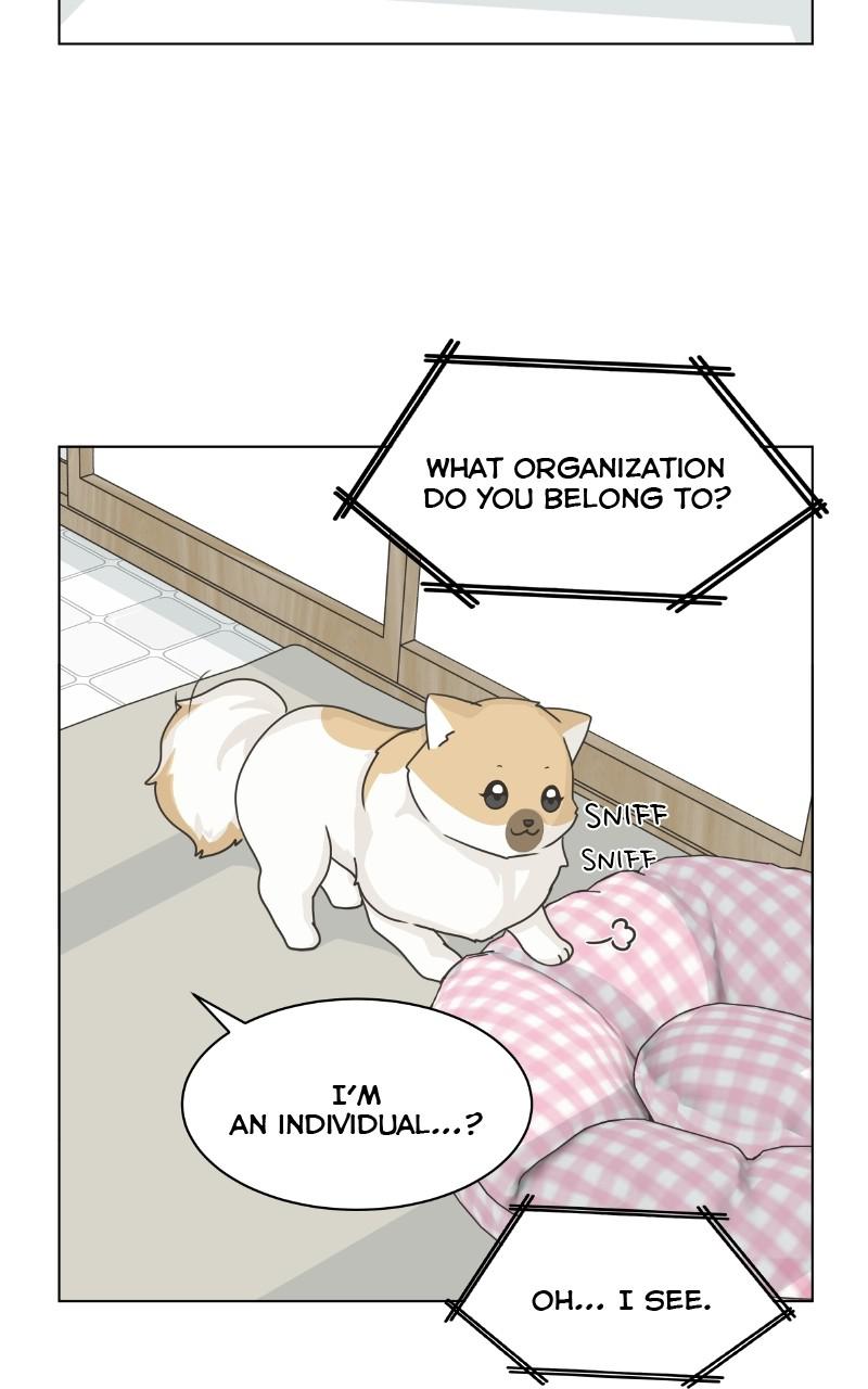 The Dog Diaries Chap 76 - Next Chap 77