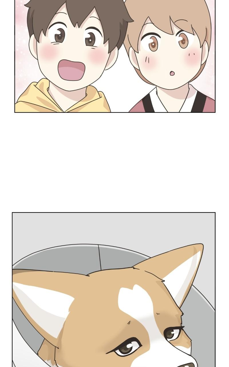 The Dog Diaries Chap 76 - Next Chap 77