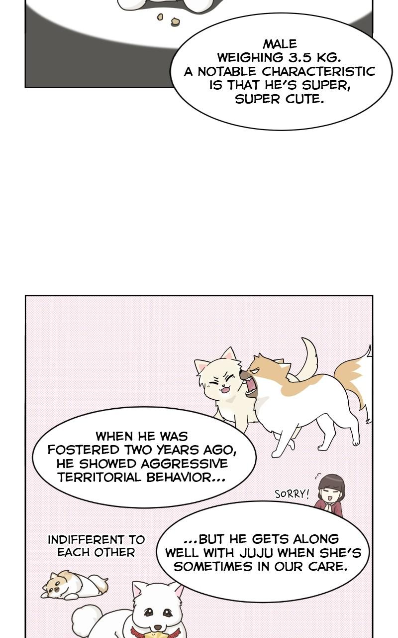 The Dog Diaries Chap 76 - Next Chap 77