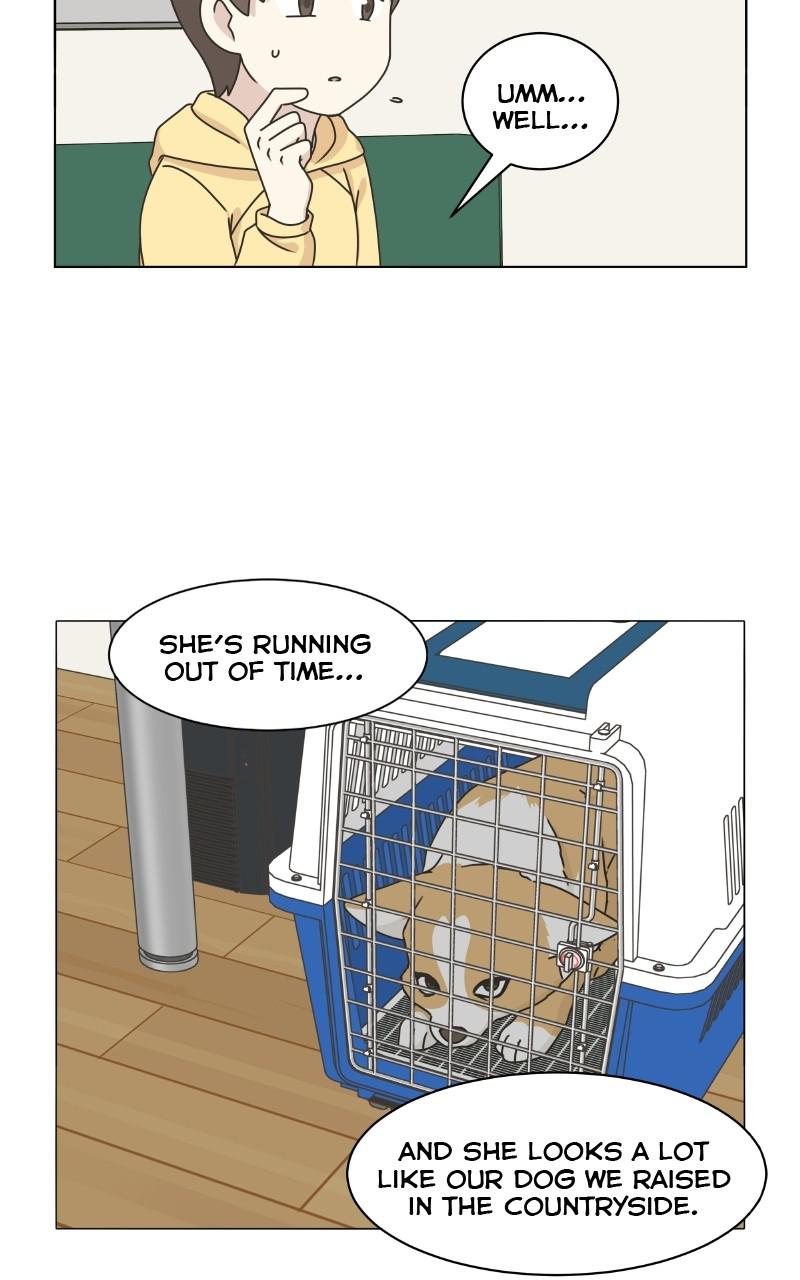 The Dog Diaries Chap 77 - Next Chap 78